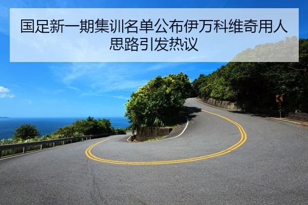国足新一期集训名单公布伊万科维奇用人思路引发热议